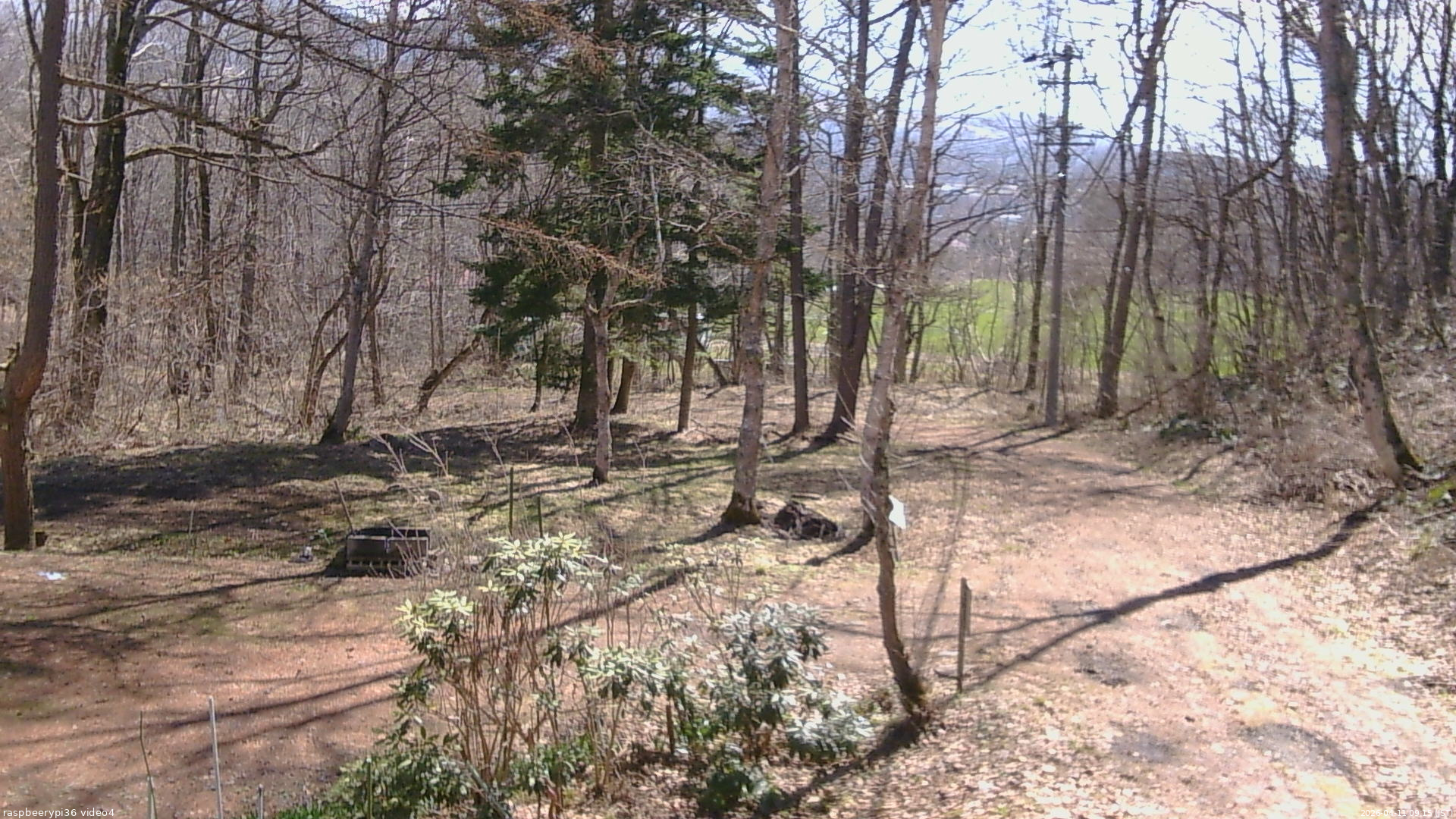 長野県菅平高原 ゆたか山荘 坂上 2026/04/11 09:15