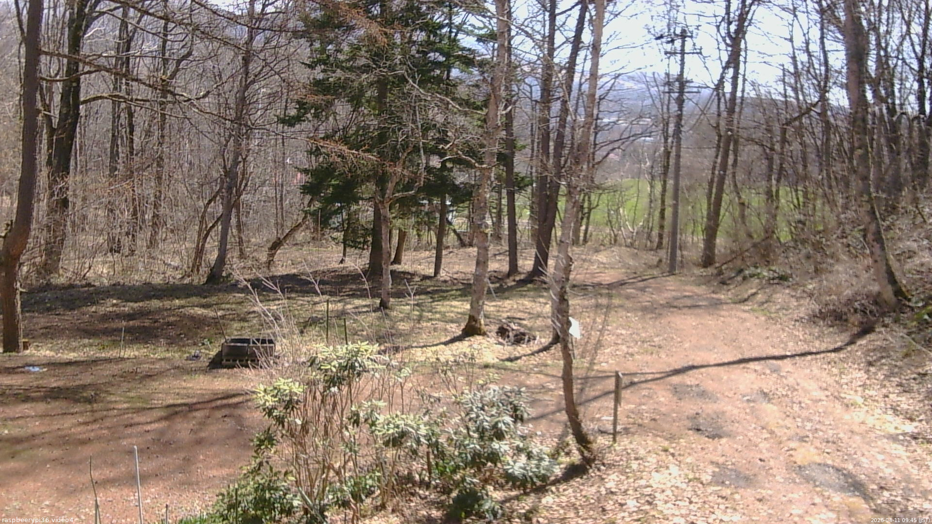 長野県菅平高原 ゆたか山荘 坂上 2026/04/11 09:45