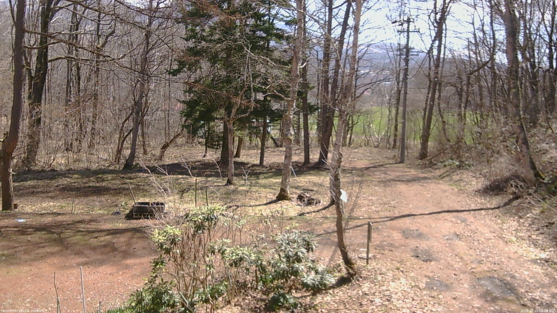 長野県菅平高原 ゆたか山荘 坂上 2026/04/11 10:00
