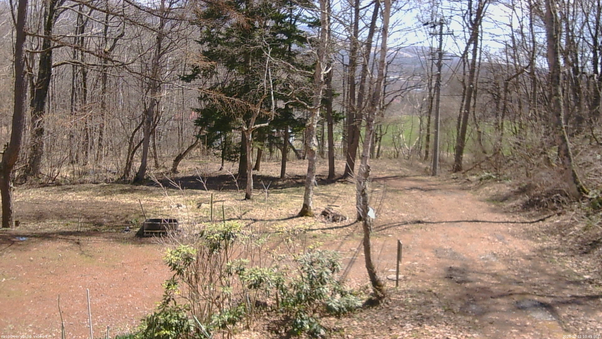 長野県菅平高原 ゆたか山荘 坂上 2026/04/11 10:45