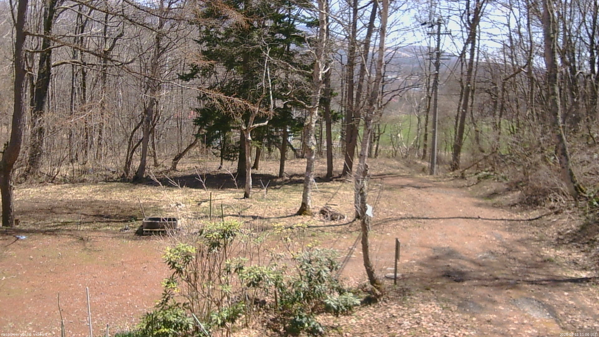 長野県菅平高原 ゆたか山荘 坂上 2026/04/11 11:00