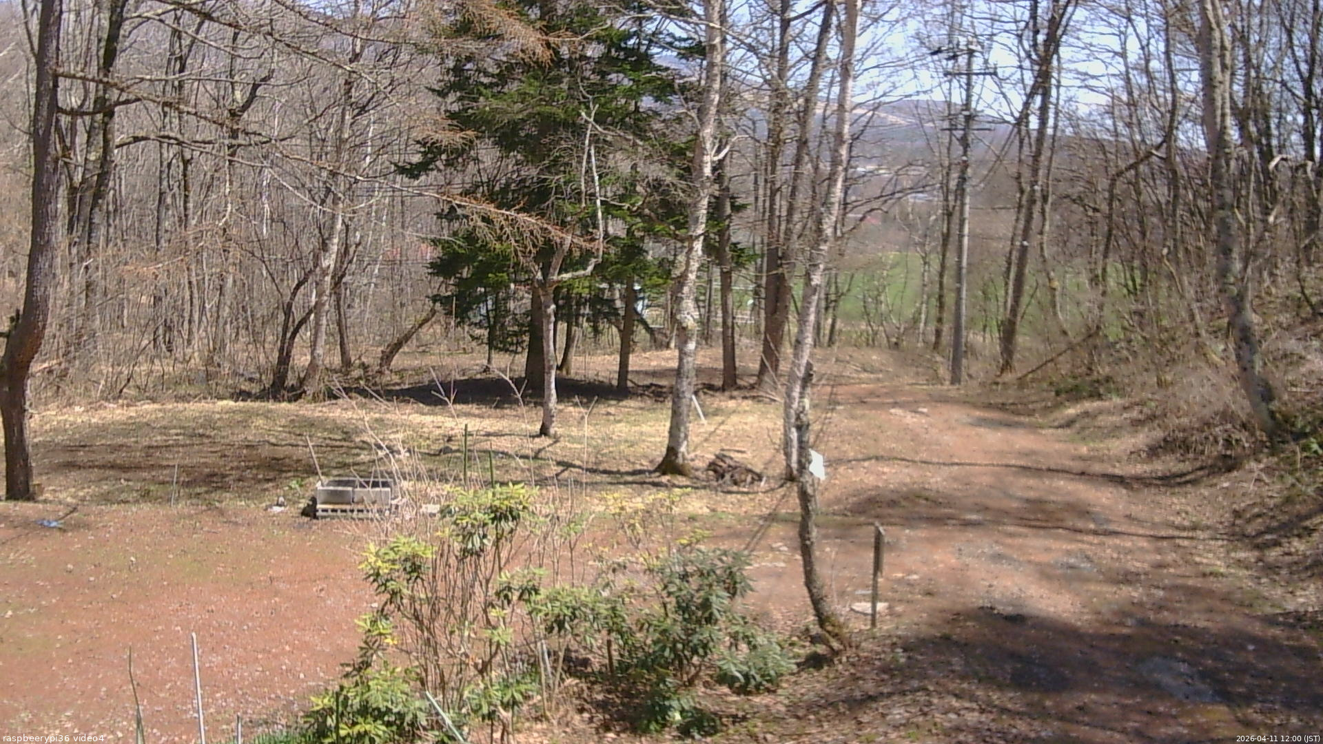 長野県菅平高原 ゆたか山荘 坂上 2026/04/11 12:00
