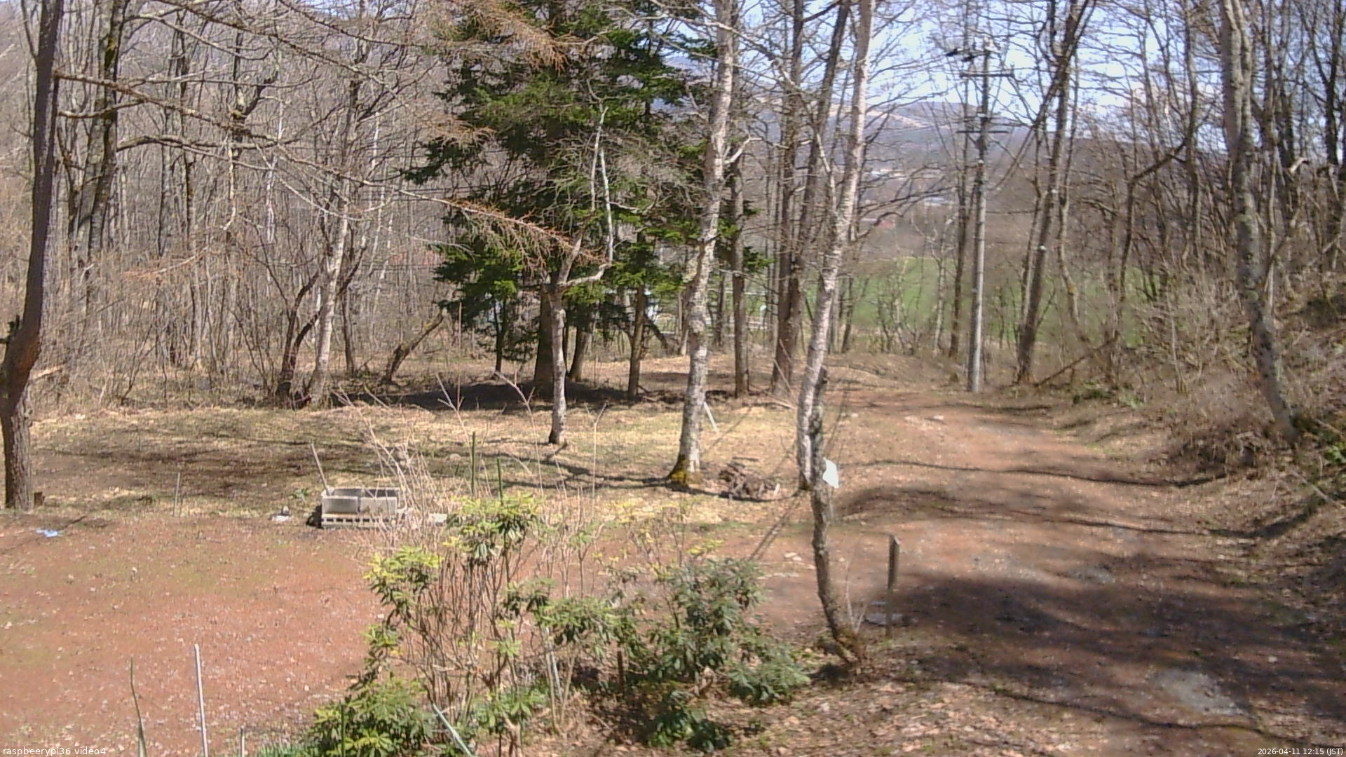 長野県菅平高原 ゆたか山荘 坂上 2026/04/11 12:15