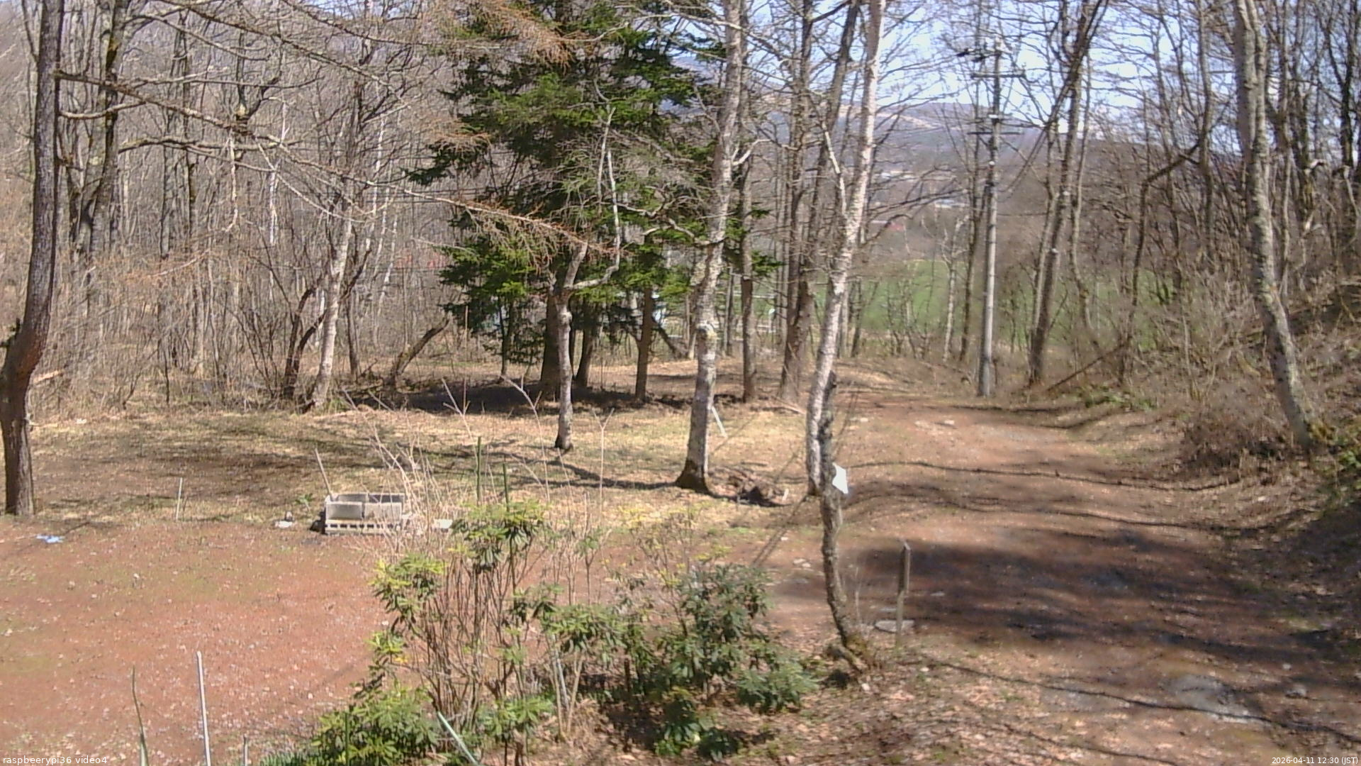 長野県菅平高原 ゆたか山荘 坂上 2026/04/11 12:30