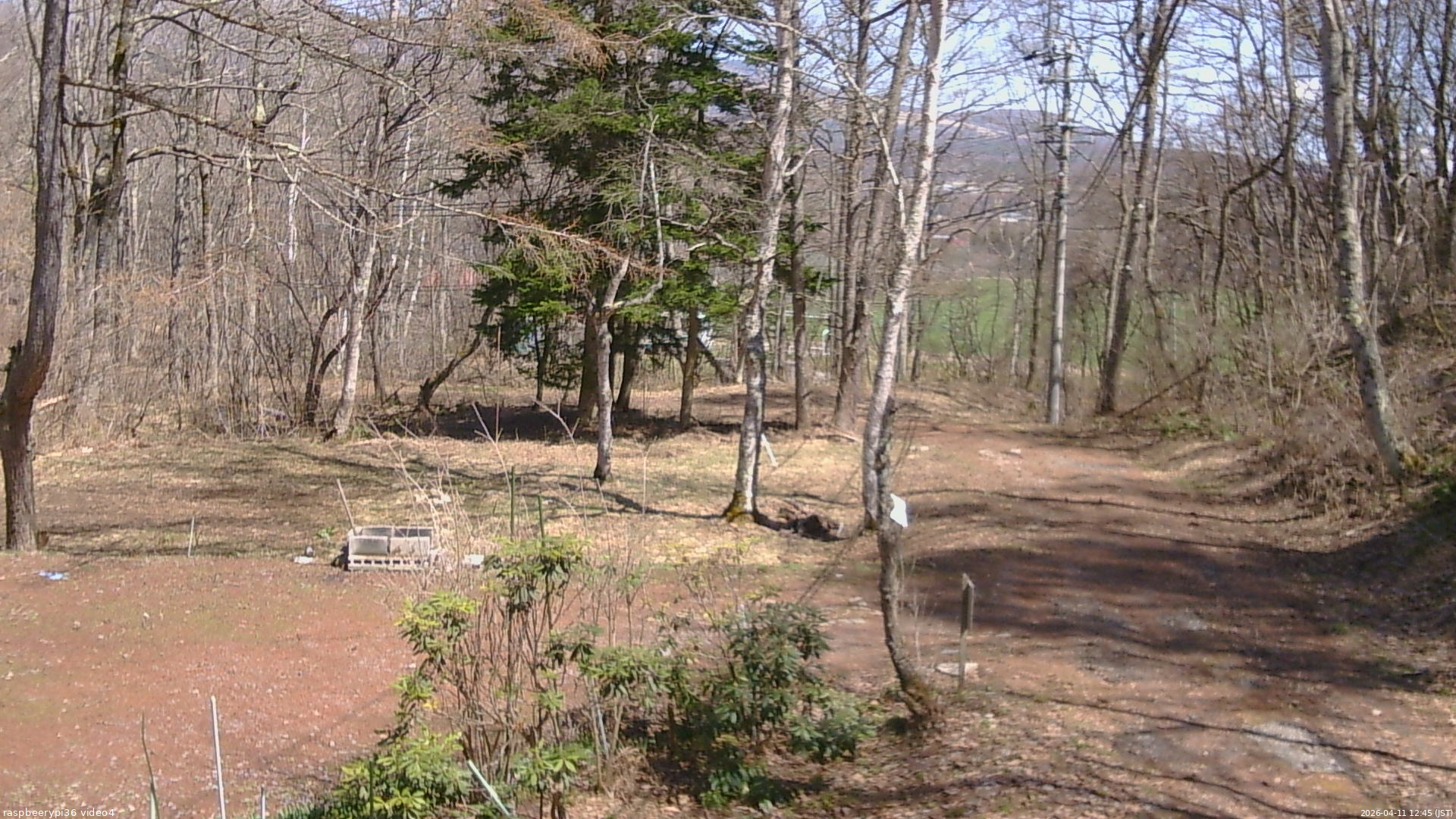 長野県菅平高原 ゆたか山荘 坂上 2026/04/11 12:45