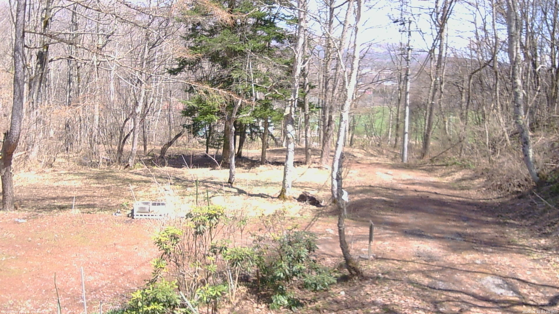 長野県菅平高原 ゆたか山荘 坂上 2026/04/11 13:00