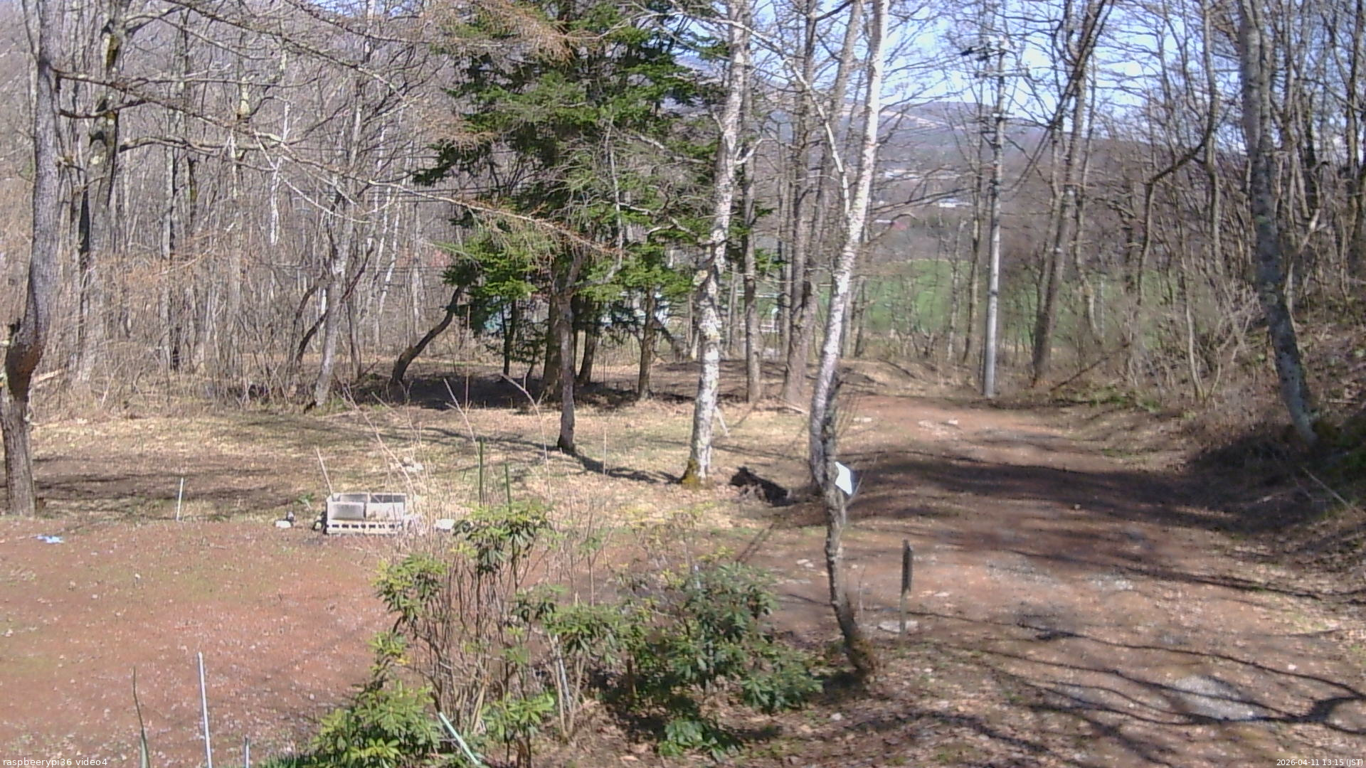 長野県菅平高原 ゆたか山荘 坂上 2026/04/11 13:15