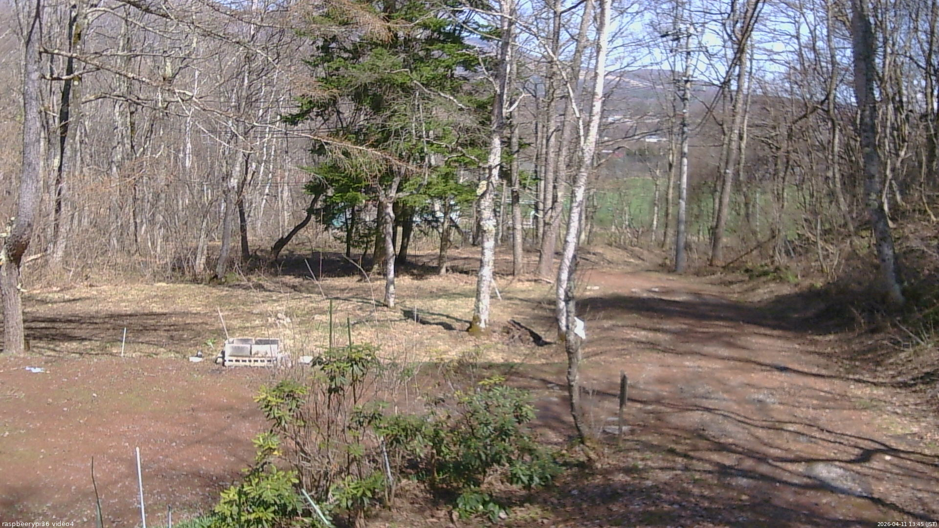 長野県菅平高原 ゆたか山荘 坂上 2026/04/11 13:45