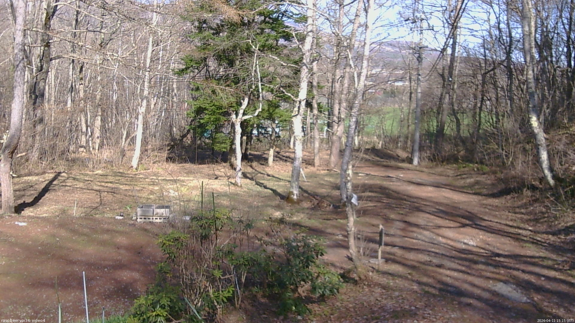 長野県菅平高原 ゆたか山荘 坂上 2026/04/11 15:15