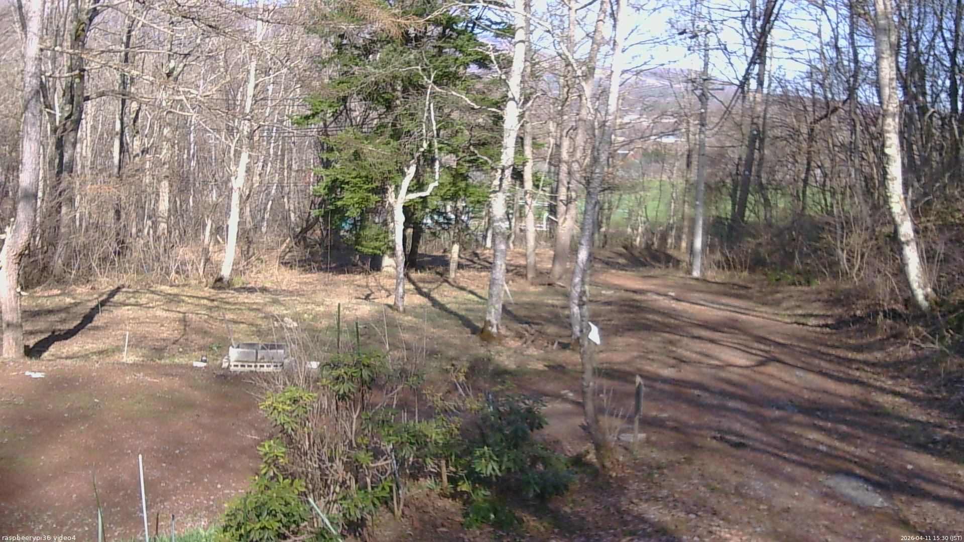 長野県菅平高原 ゆたか山荘 坂上 2026/04/11 15:30