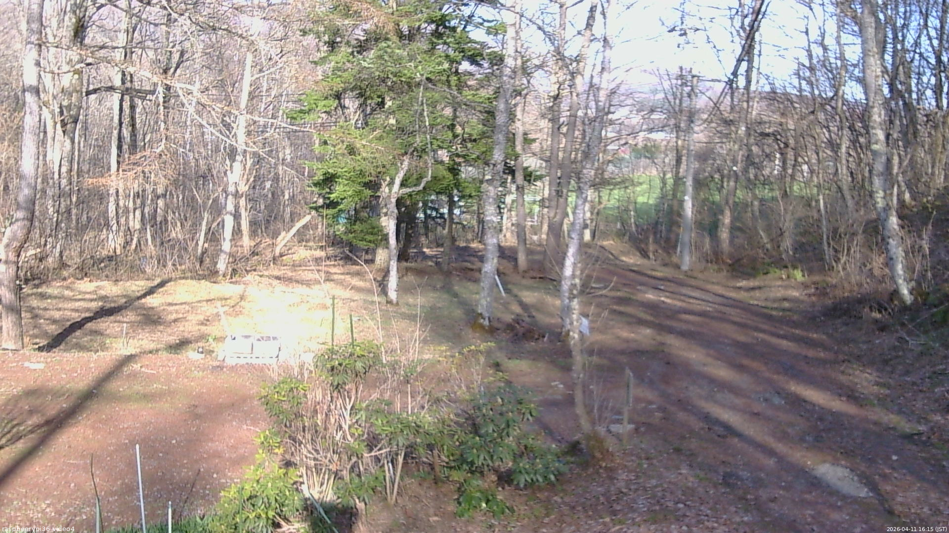 長野県菅平高原 ゆたか山荘 坂上 2026/04/11 16:15