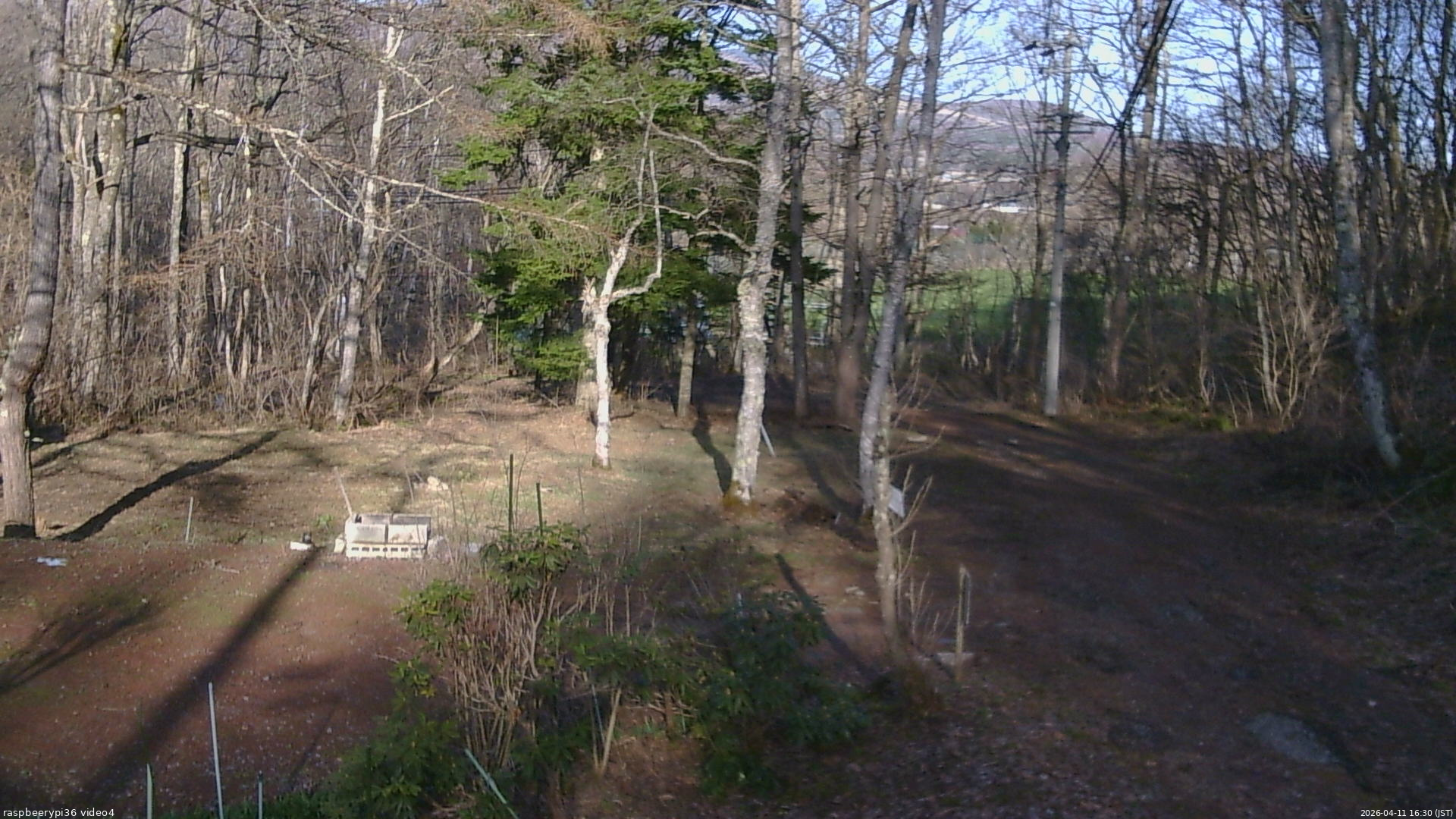 長野県菅平高原 ゆたか山荘 坂上 2026/04/11 16:30