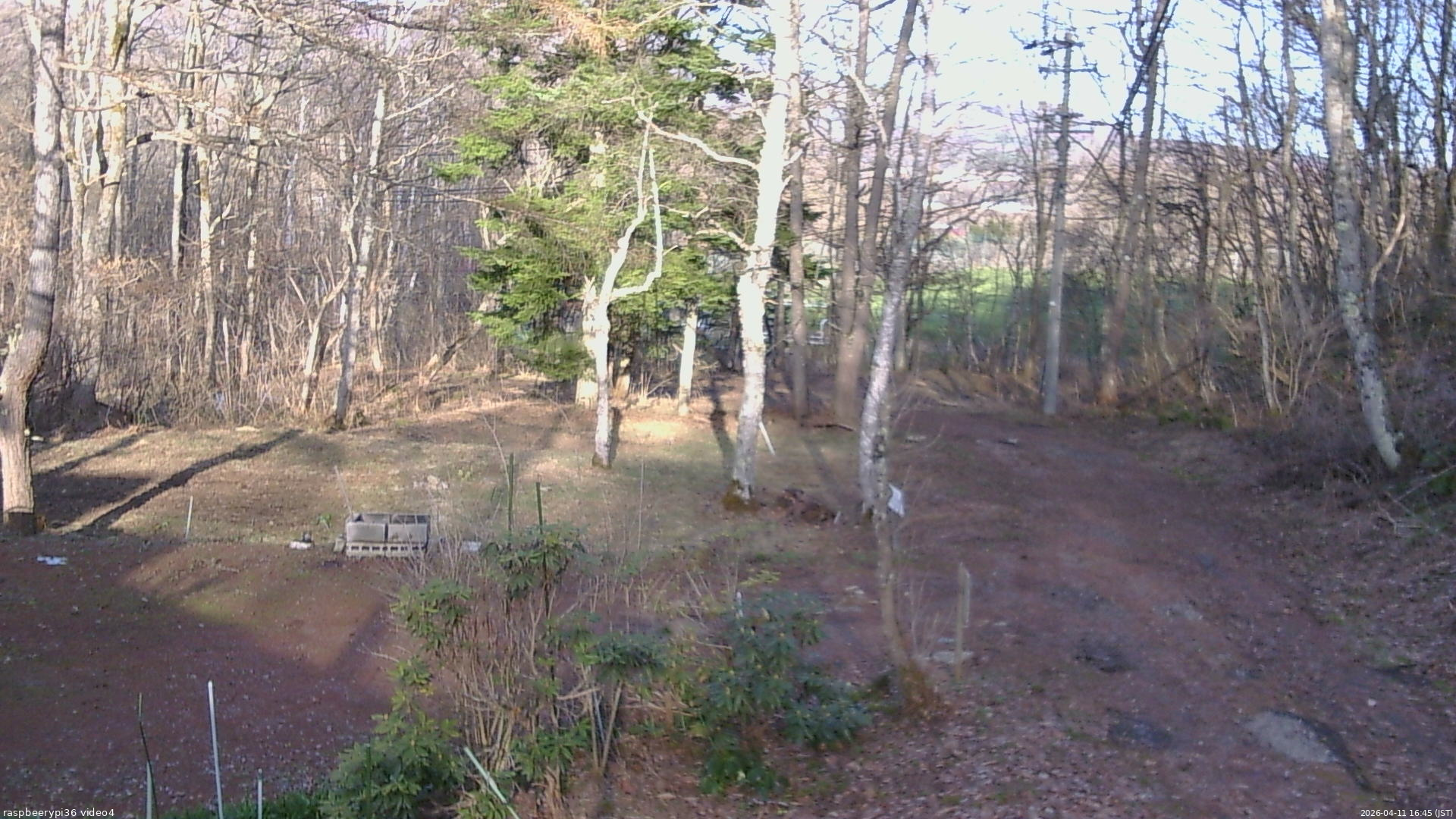 長野県菅平高原 ゆたか山荘 坂上 2026/04/11 16:45