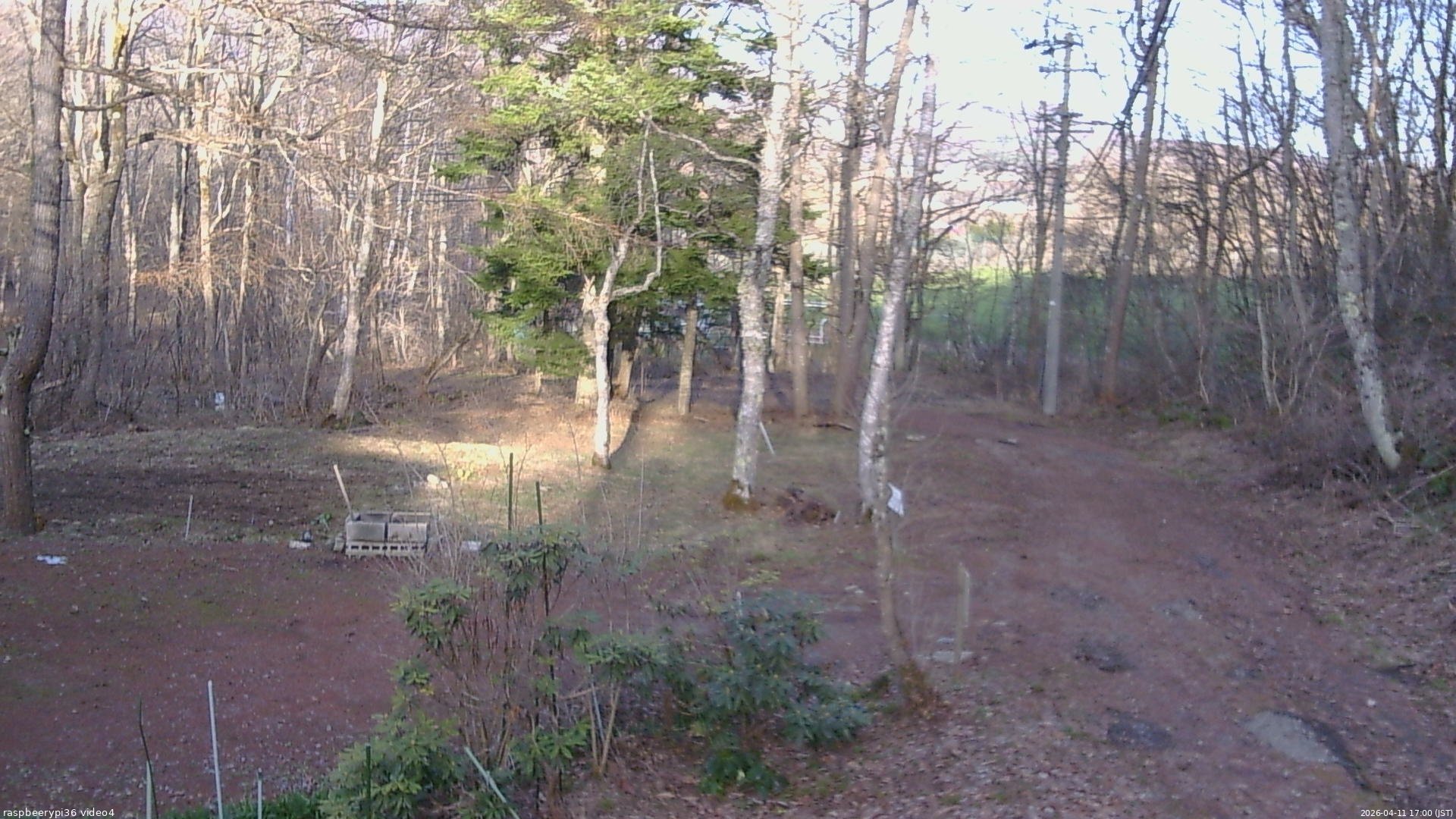 長野県菅平高原 ゆたか山荘 坂上 2026/04/11 17:00