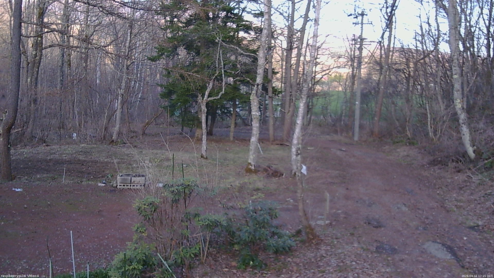 長野県菅平高原 ゆたか山荘 坂上 2026/04/11 17:15