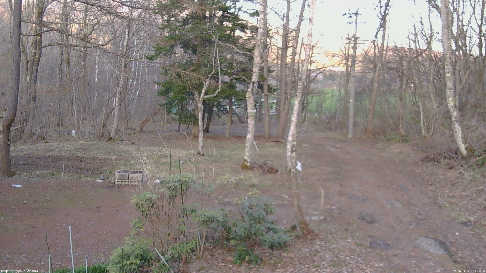 長野県菅平高原 ゆたか山荘 坂上 2026/04/11 17:45
