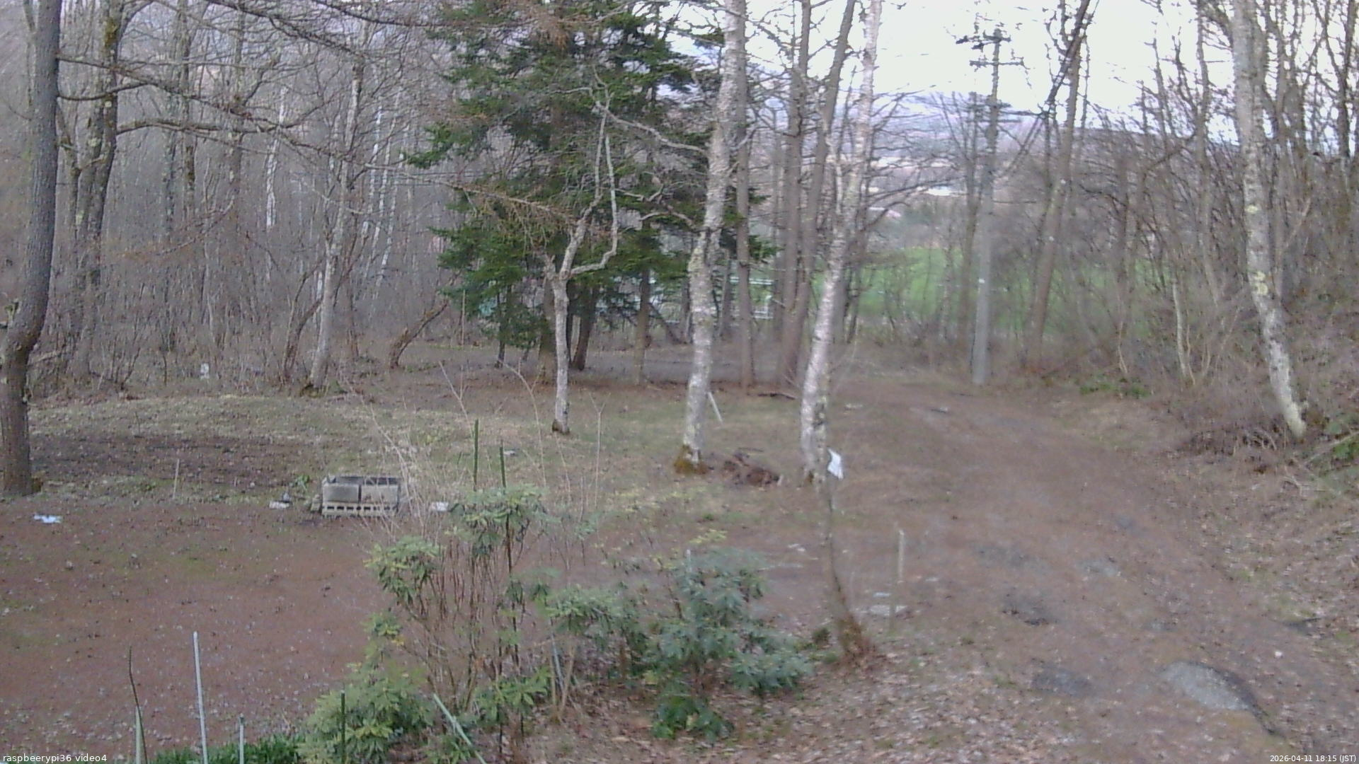 長野県菅平高原 ゆたか山荘 坂上 2026/04/11 18:15