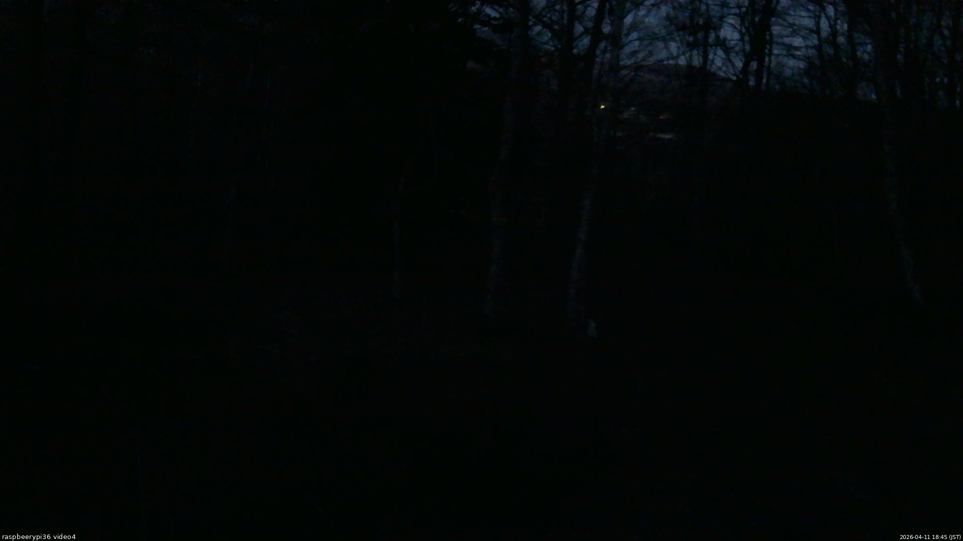 長野県菅平高原 ゆたか山荘 坂上 2026/04/11 18:45