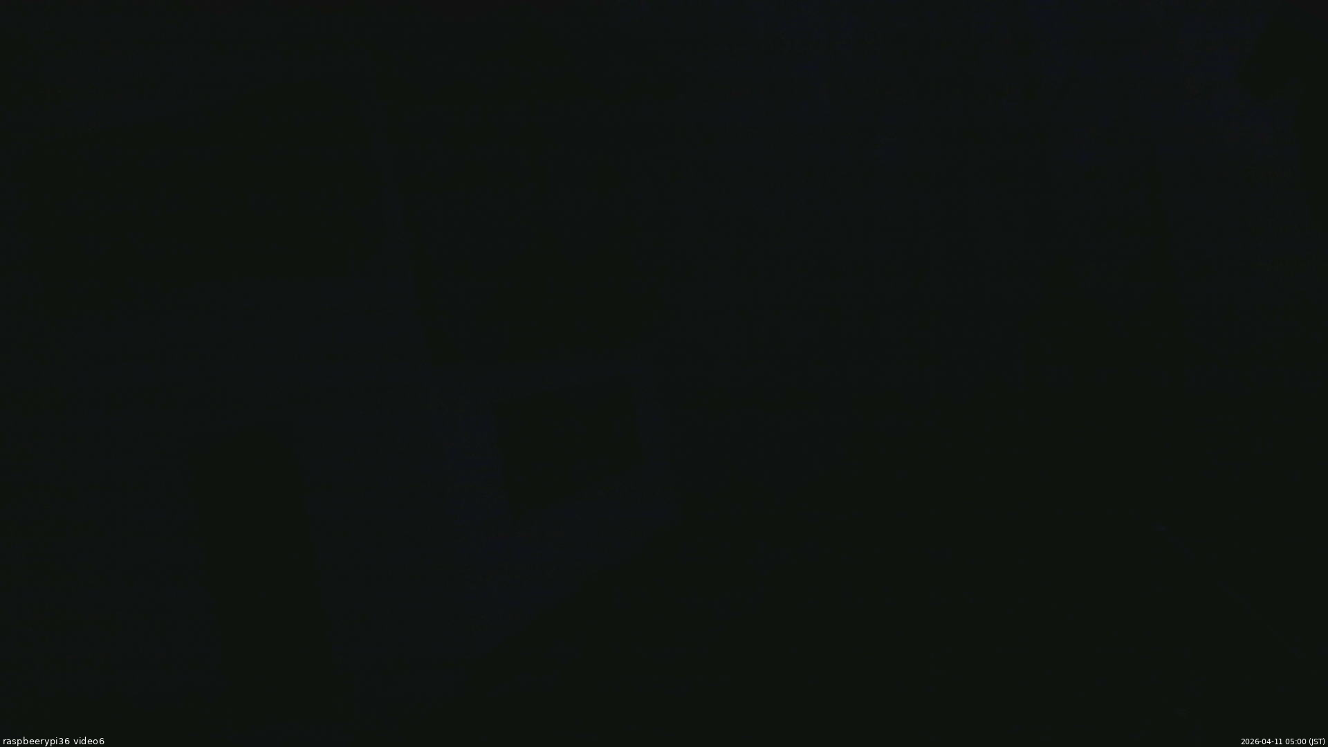 長野県菅平高原 ゆたか山荘 坂下 2026/04/11 05:00