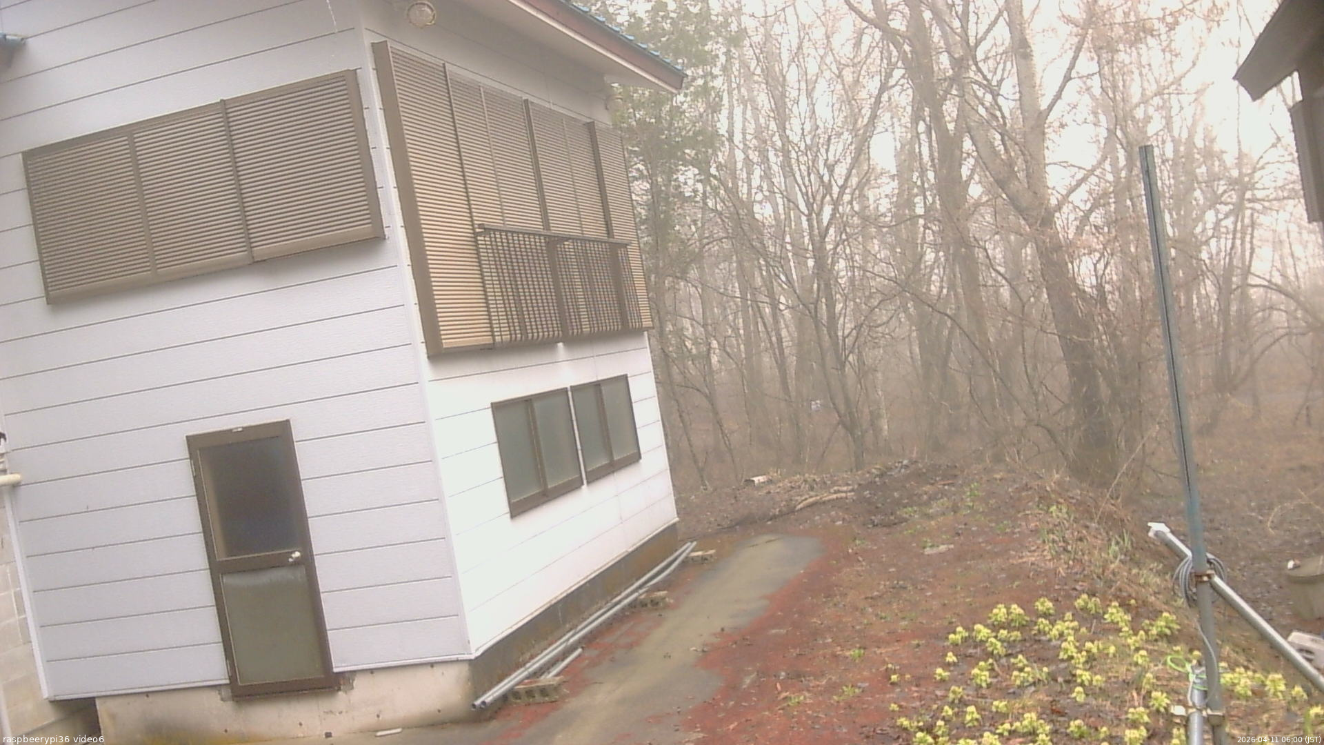 長野県菅平高原 ゆたか山荘 坂下 2026/04/11 06:00