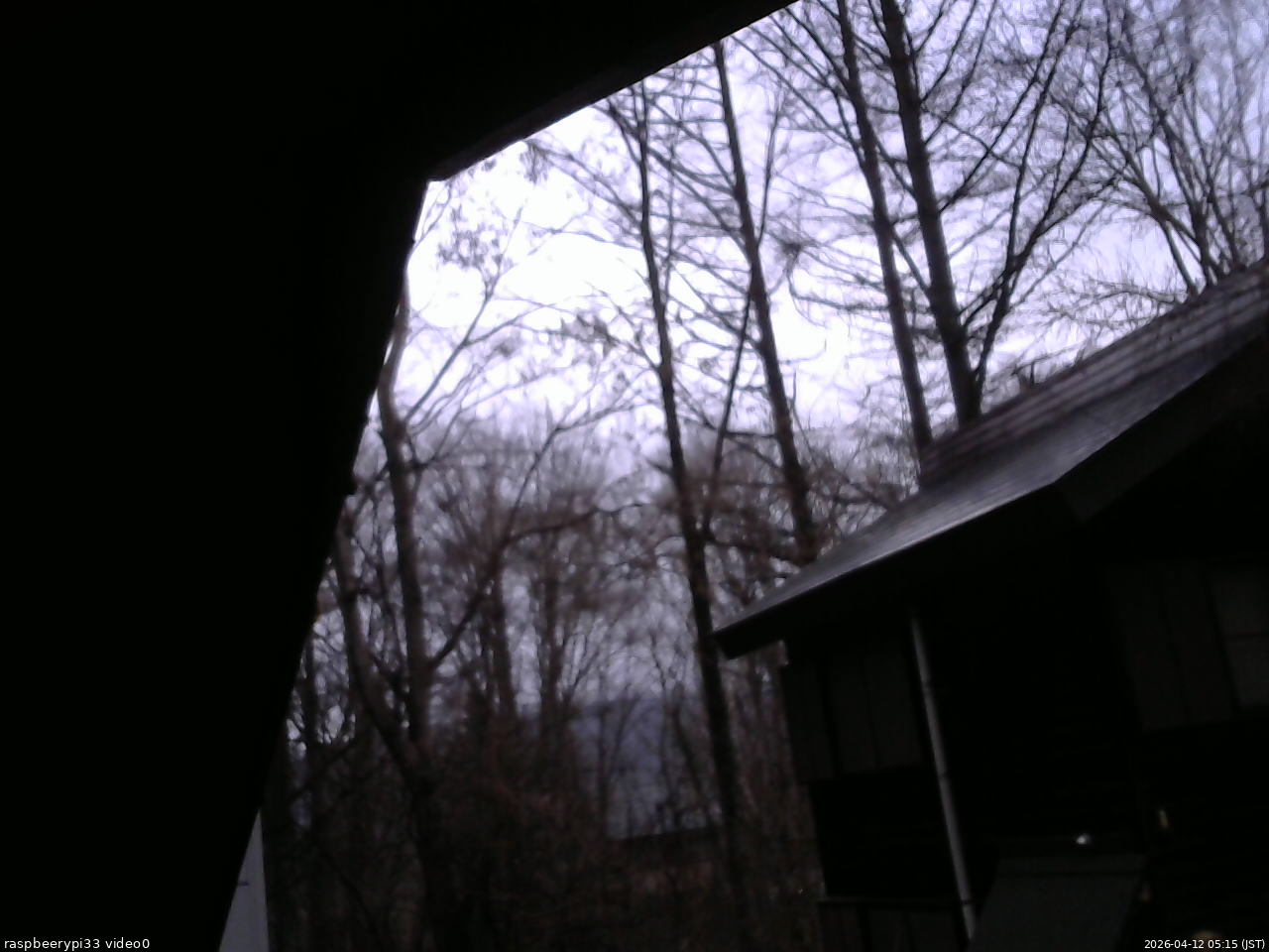 長野県菅平高原 ゆたか山荘 北側 2026/04/12 05:15