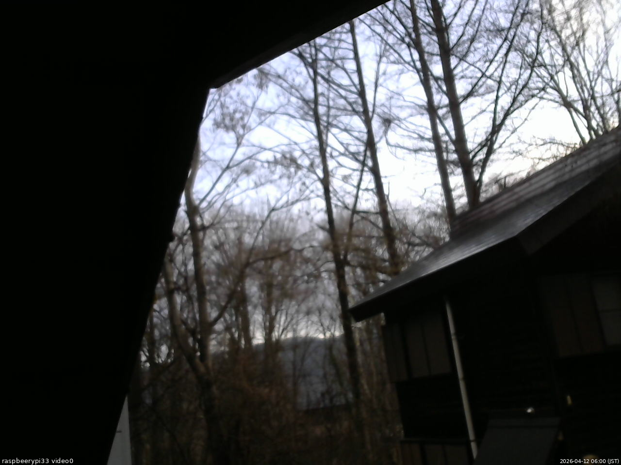 長野県菅平高原 ゆたか山荘 北側 2026/04/12 06:00