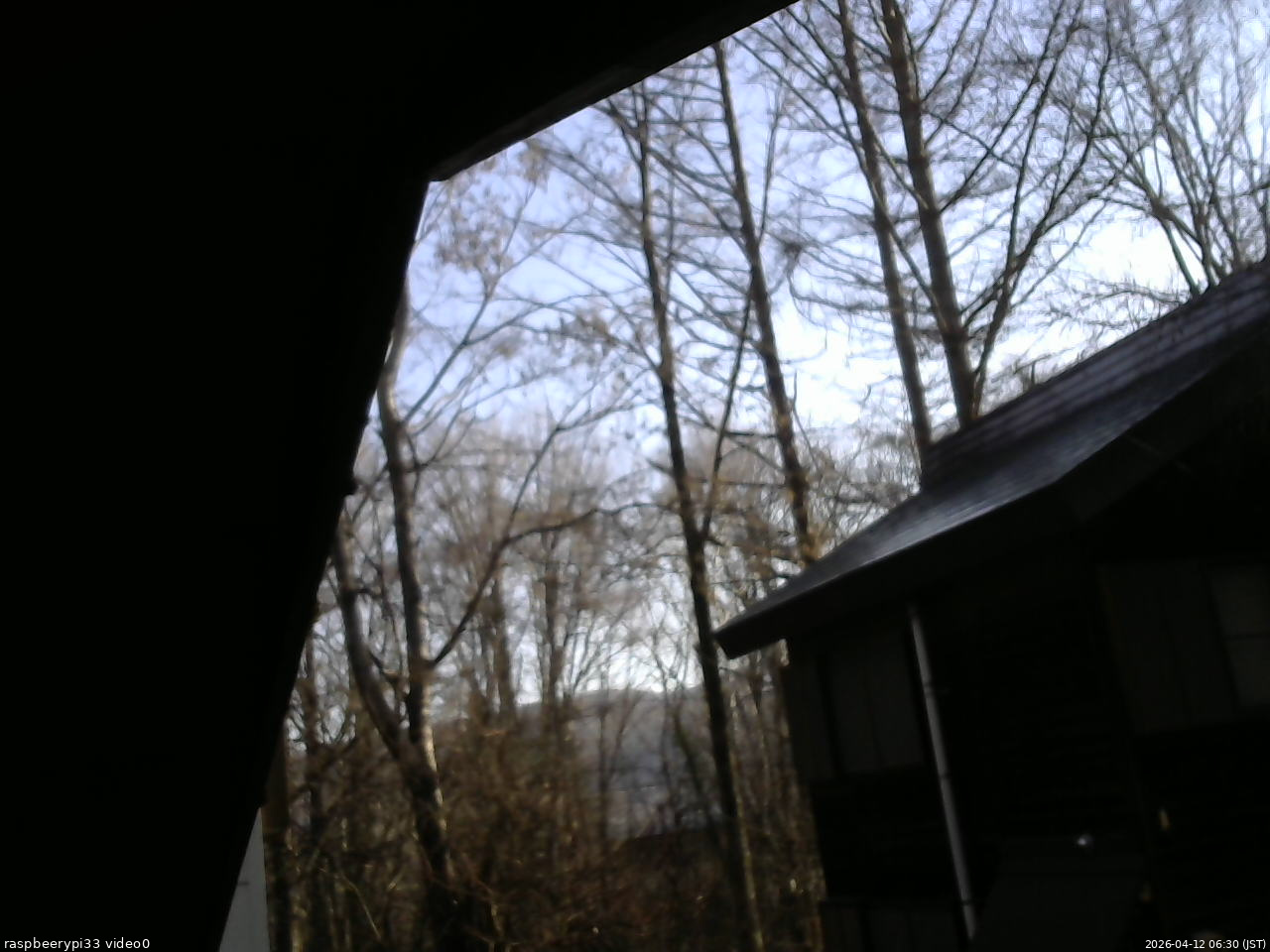 長野県菅平高原 ゆたか山荘 北側 2026/04/12 06:30