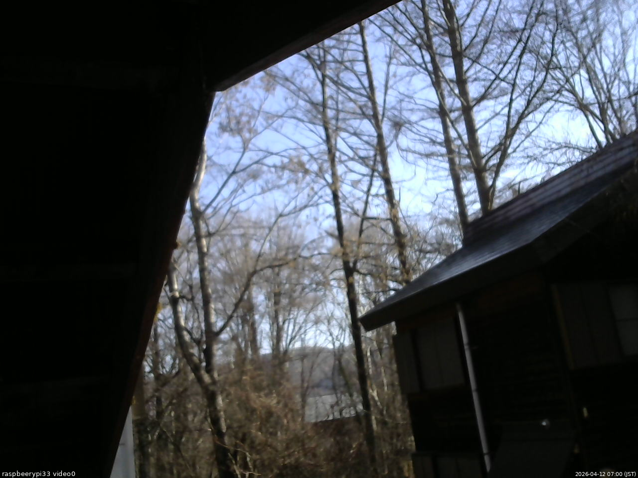 長野県菅平高原 ゆたか山荘 北側 2026/04/12 07:00