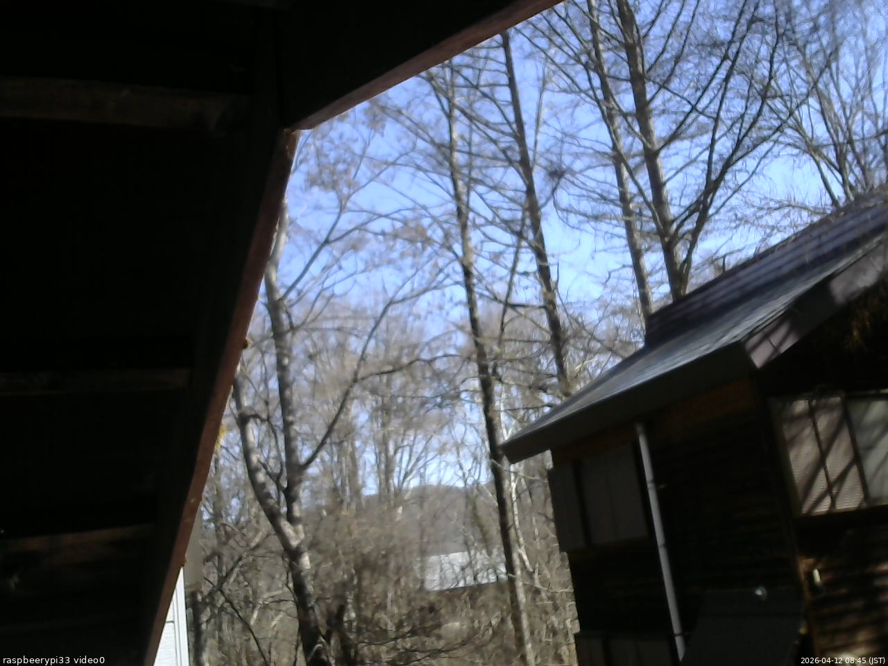 長野県菅平高原 ゆたか山荘 北側 2026/04/12 08:45