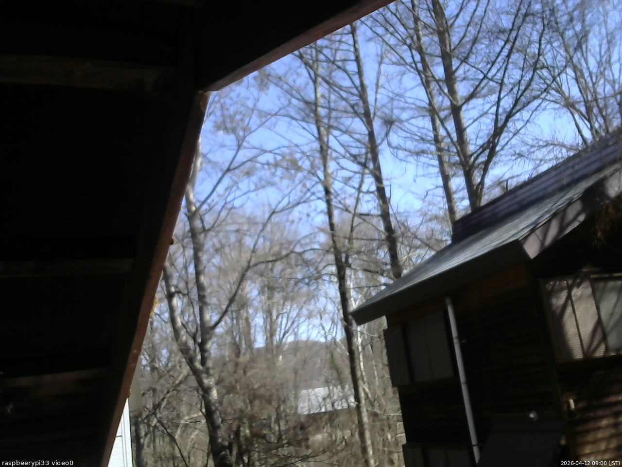 長野県菅平高原 ゆたか山荘 北側 2026/04/12 09:00