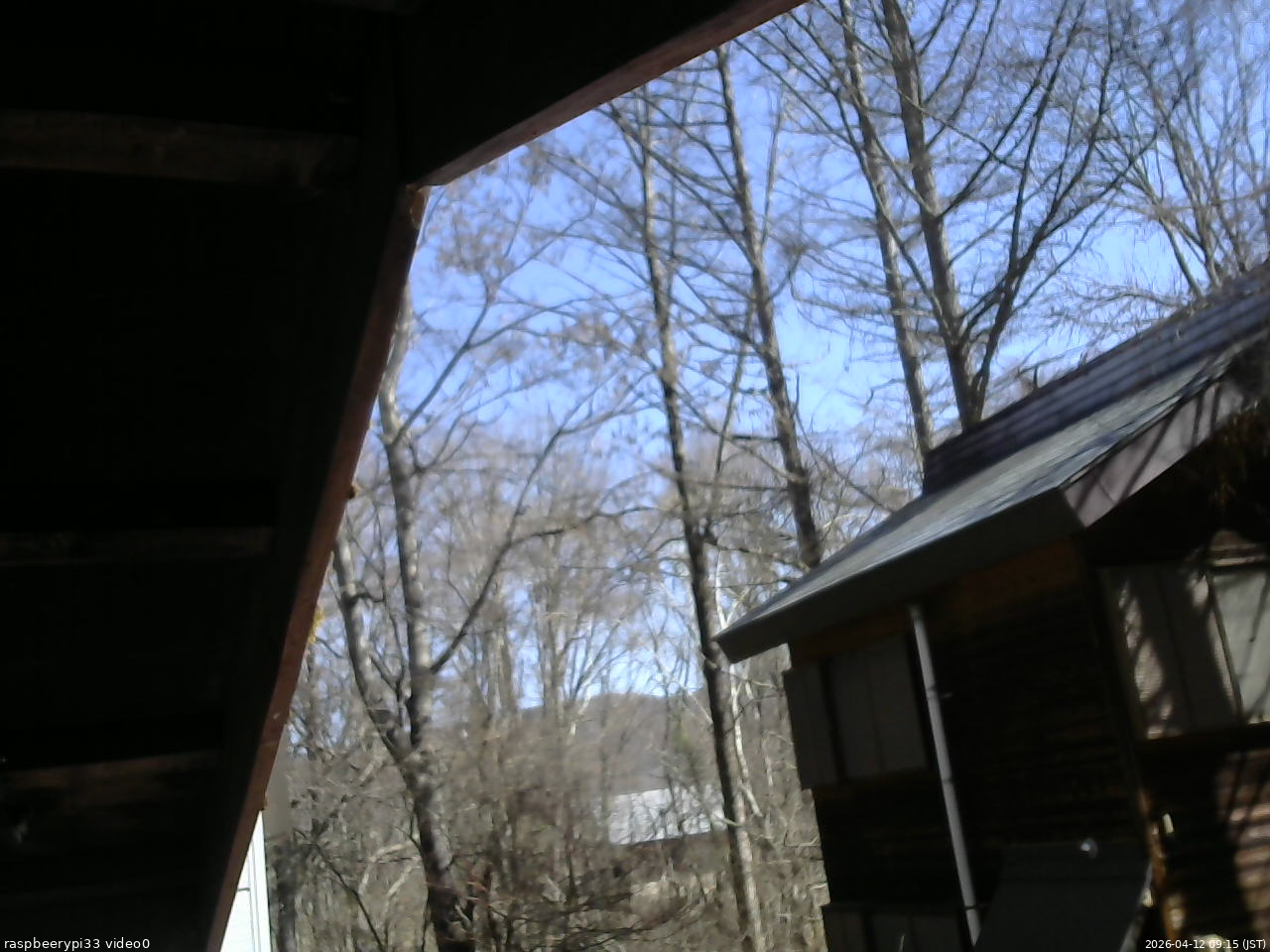 長野県菅平高原 ゆたか山荘 北側 2026/04/12 09:15