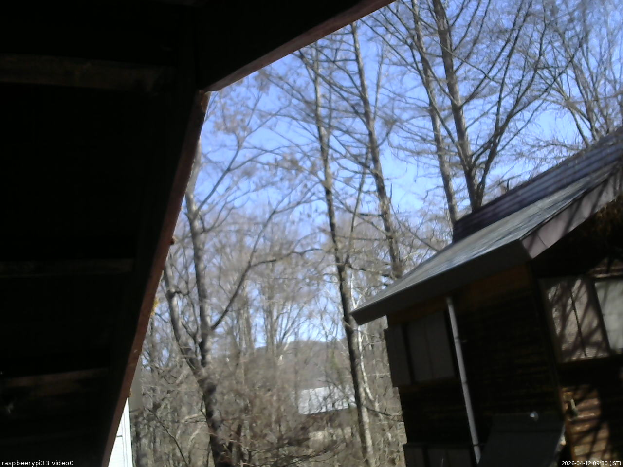 長野県菅平高原 ゆたか山荘 北側 2026/04/12 09:30