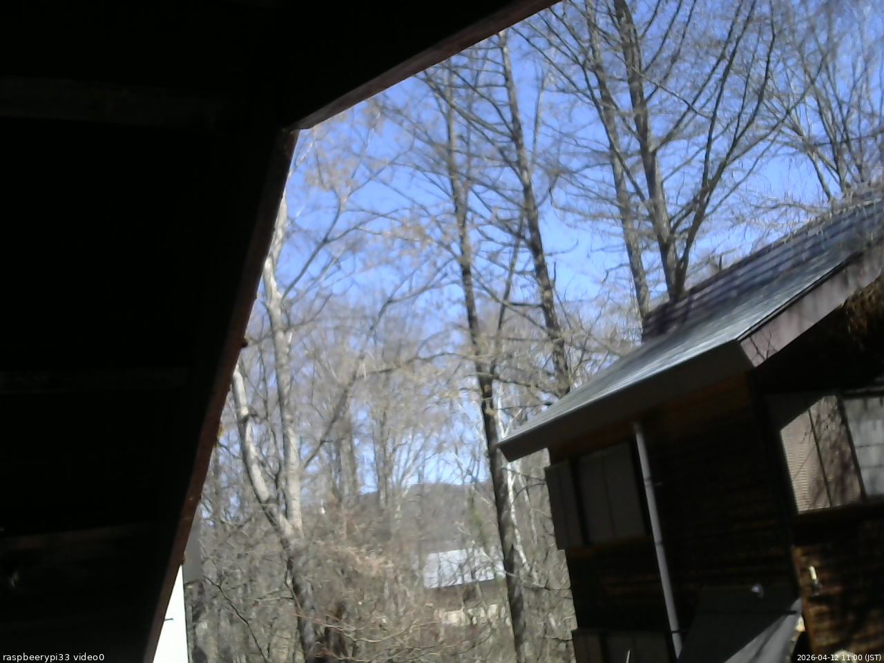 長野県菅平高原 ゆたか山荘 北側 2026/04/12 11:00