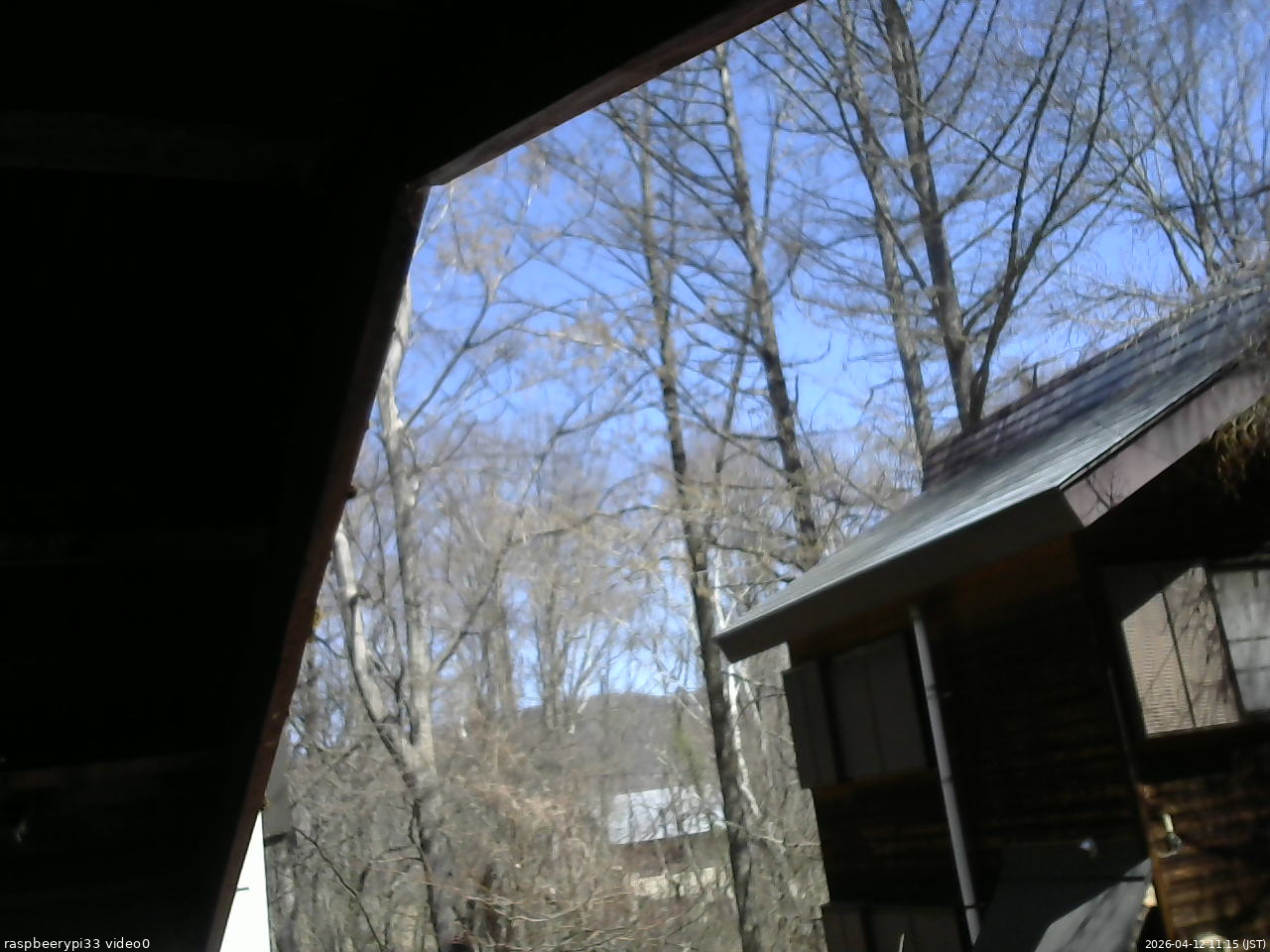 長野県菅平高原 ゆたか山荘 北側 2026/04/12 11:15