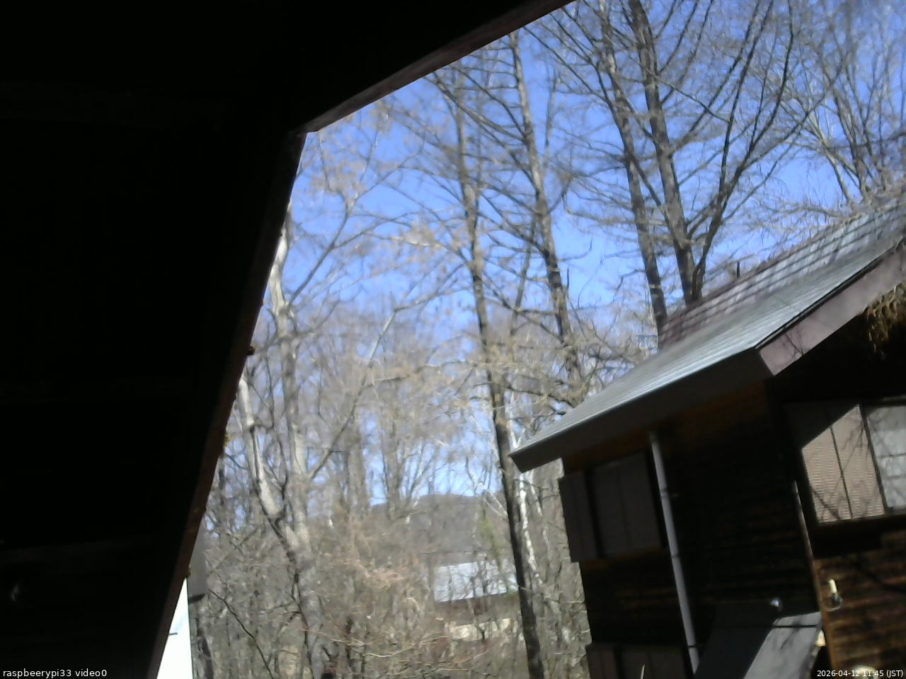 長野県菅平高原 ゆたか山荘 北側 2026/04/12 11:45