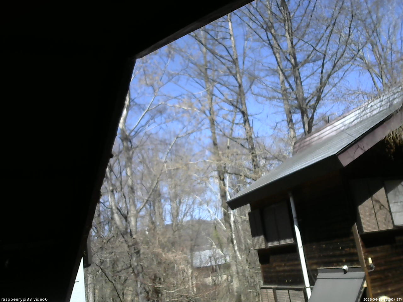 長野県菅平高原 ゆたか山荘 北側 2026/04/12 13:00