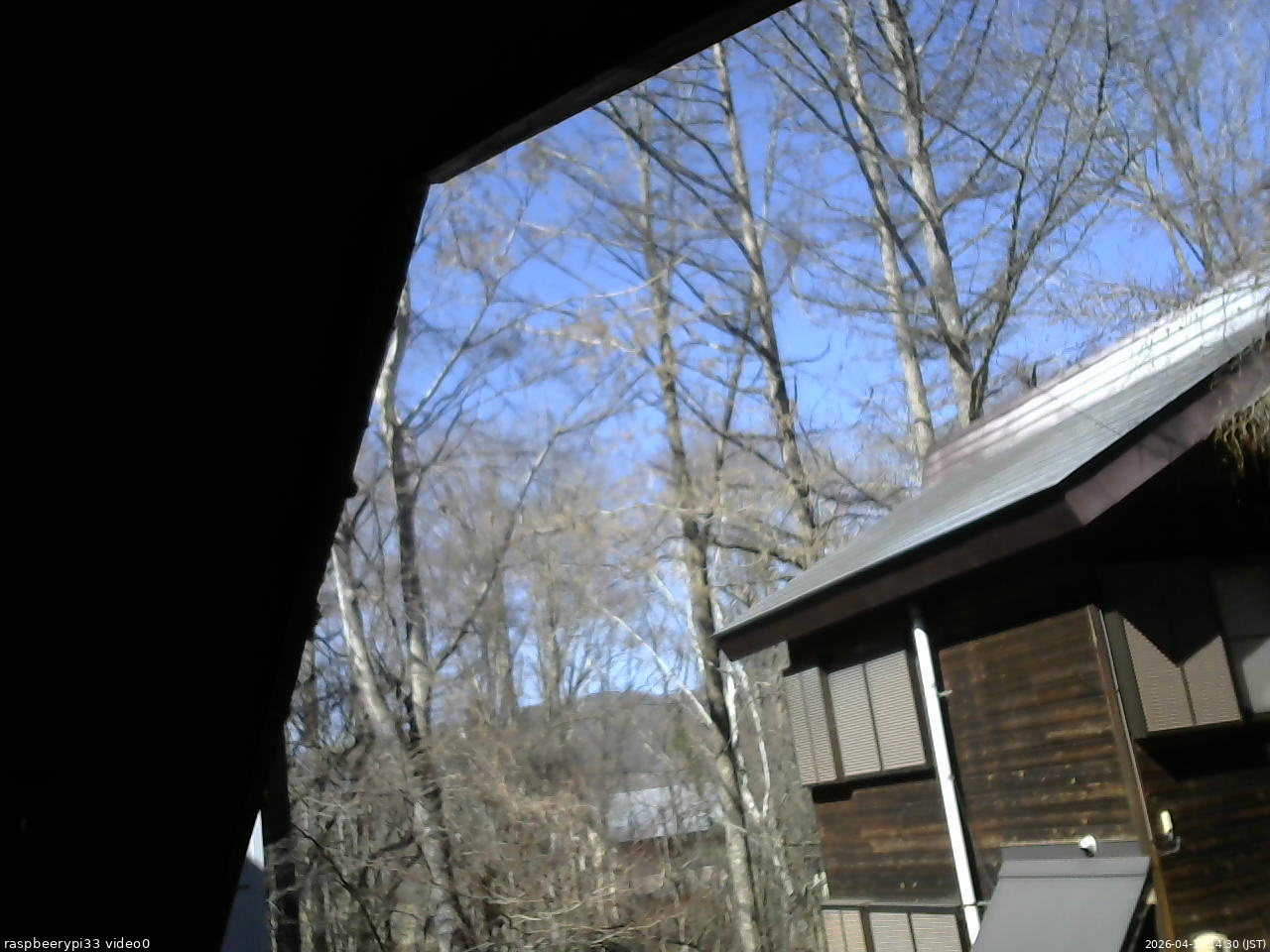 長野県菅平高原 ゆたか山荘 北側 2026/04/12 14:30