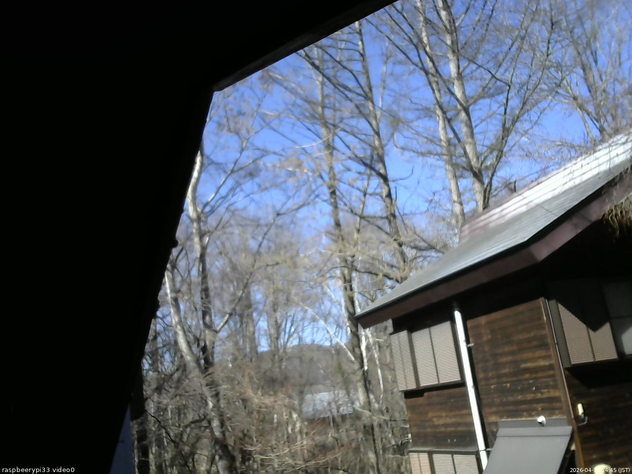 長野県菅平高原 ゆたか山荘 北側 2026/04/12 14:45