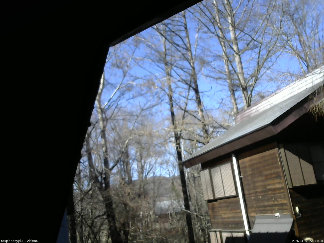 長野県菅平高原 ゆたか山荘 北側 2026/04/12 15:30