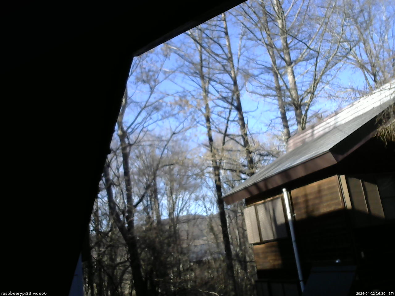 長野県菅平高原 ゆたか山荘 北側 2026/04/12 16:30