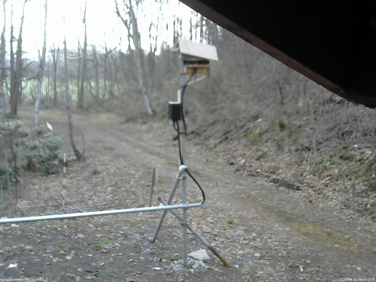 長野県菅平高原 ゆたか山荘 南側 2026/04/12 06:00