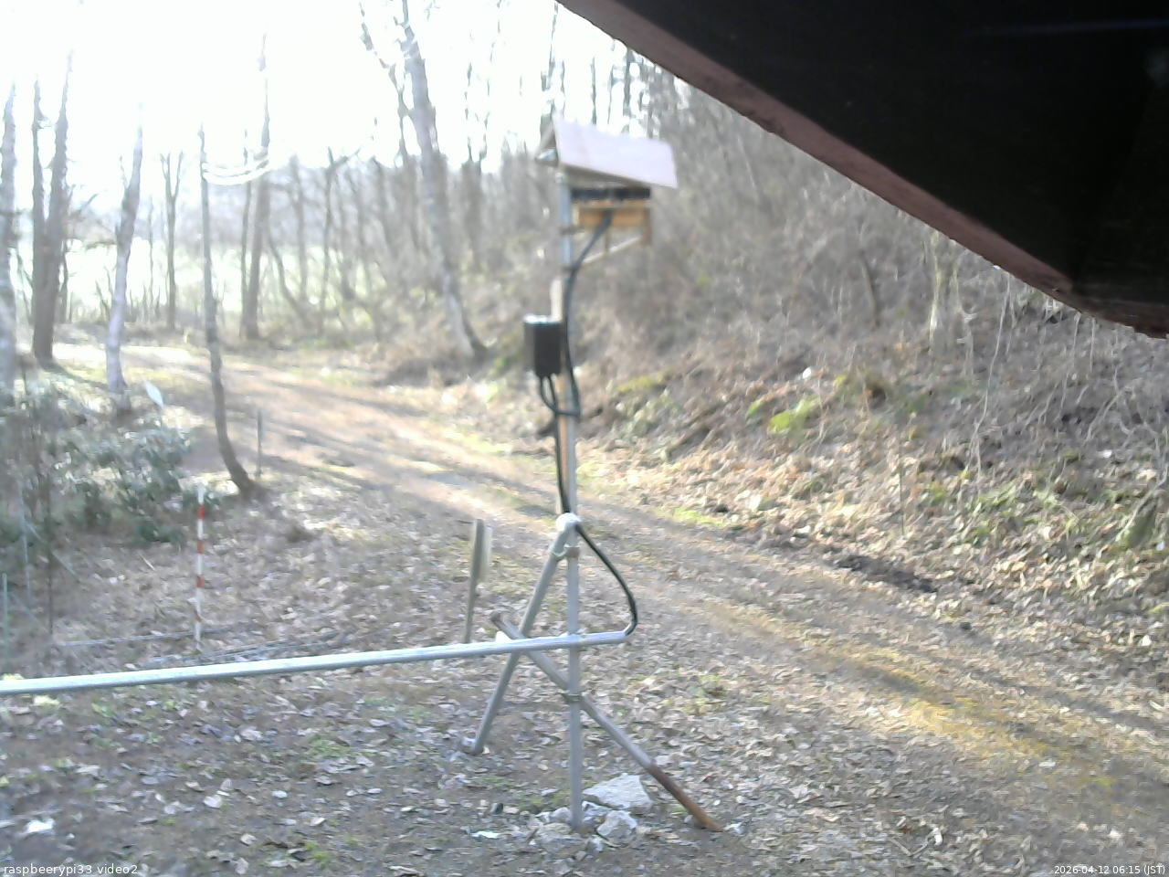 長野県菅平高原 ゆたか山荘 南側 2026/04/12 06:15