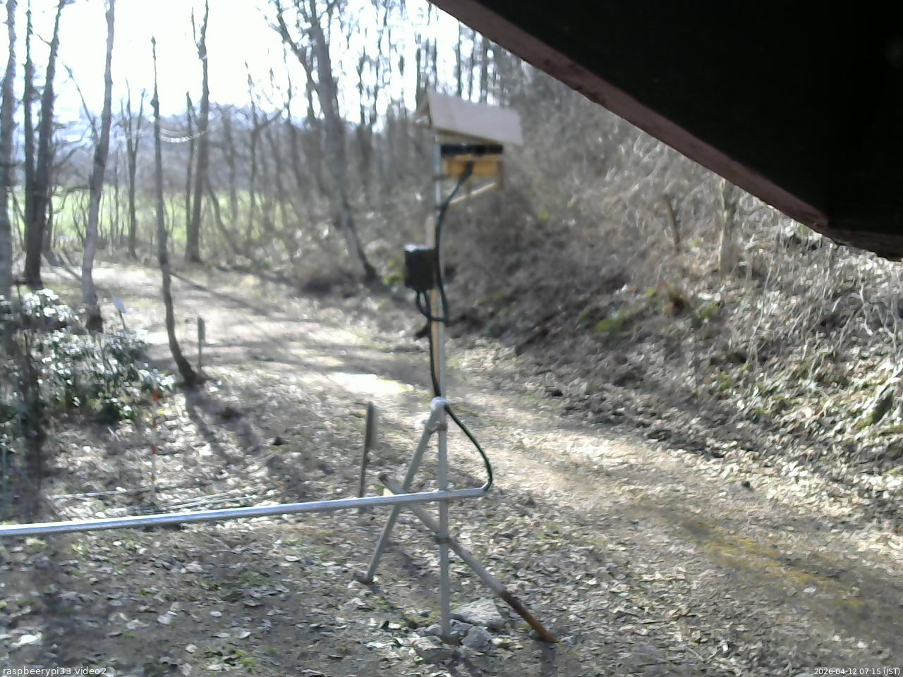 長野県菅平高原 ゆたか山荘 南側 2026/04/12 07:15