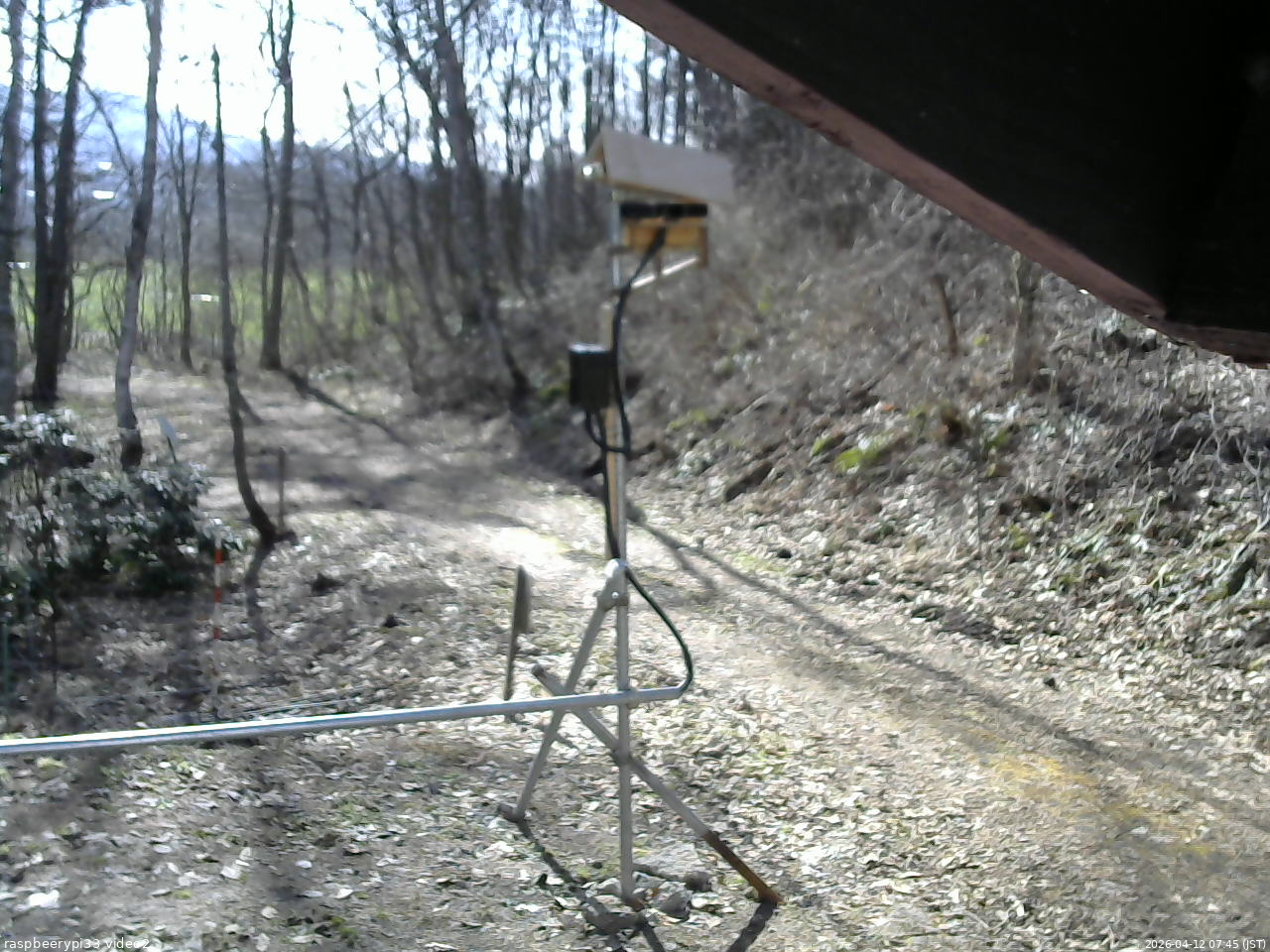 長野県菅平高原 ゆたか山荘 南側 2026/04/12 07:45