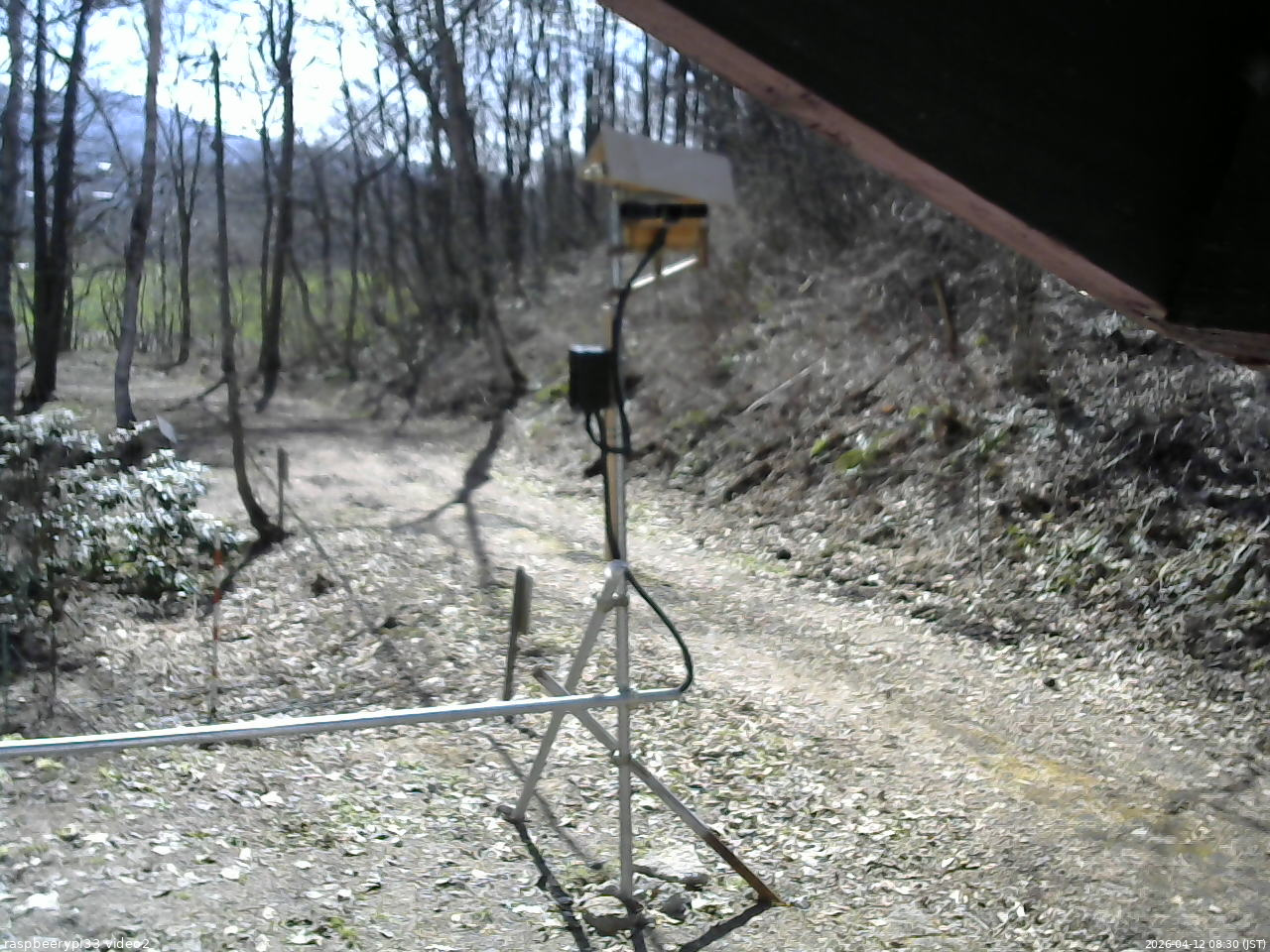 長野県菅平高原 ゆたか山荘 南側 2026/04/12 08:30