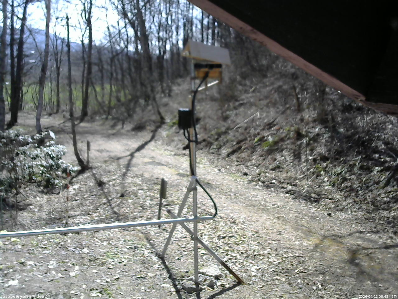長野県菅平高原 ゆたか山荘 南側 2026/04/12 08:45