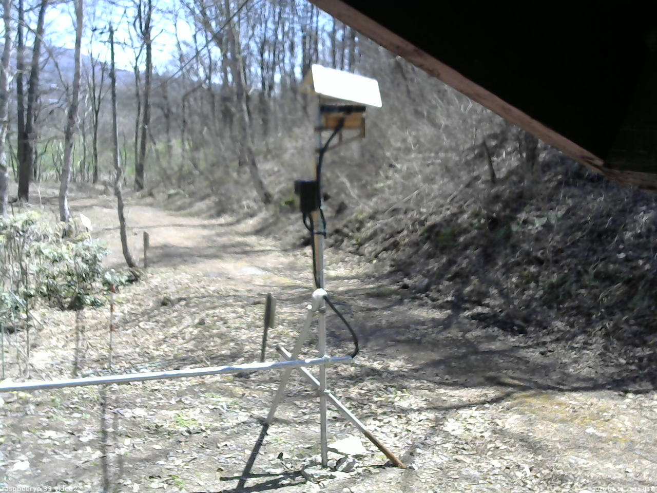 長野県菅平高原 ゆたか山荘 南側 2026/04/12 11:15
