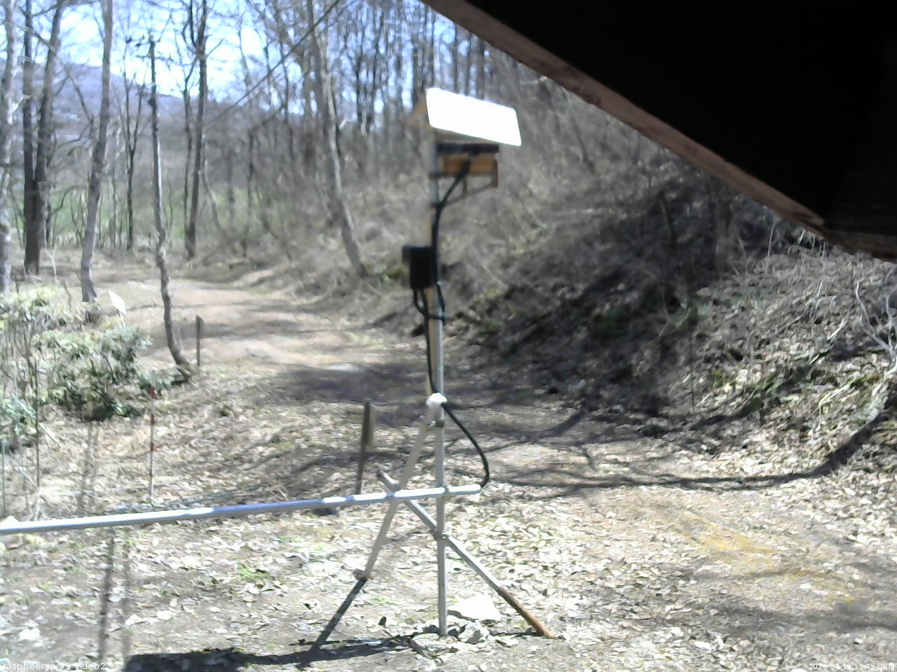 長野県菅平高原 ゆたか山荘 南側 2026/04/12 11:45