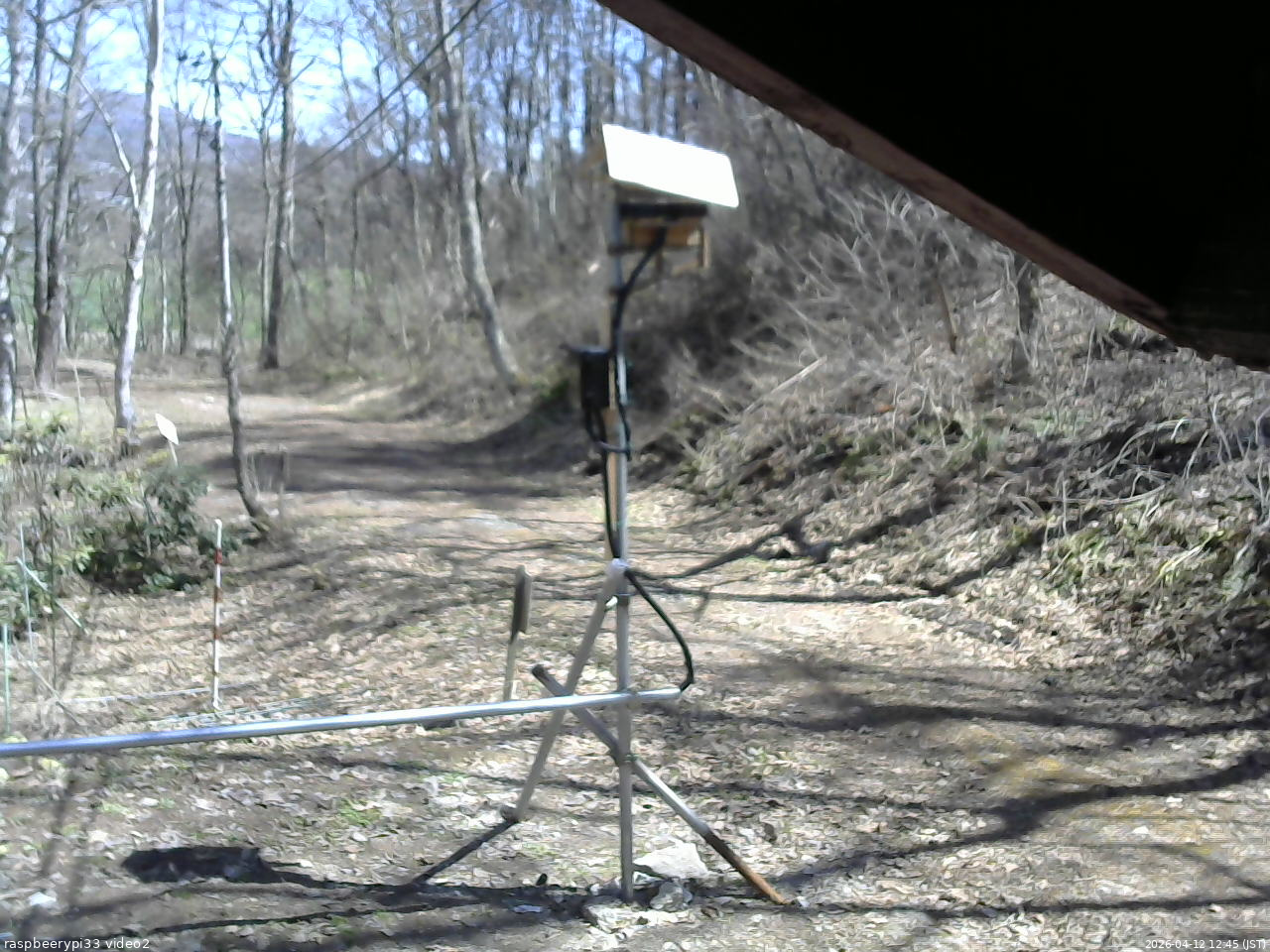 長野県菅平高原 ゆたか山荘 南側 2026/04/12 12:45