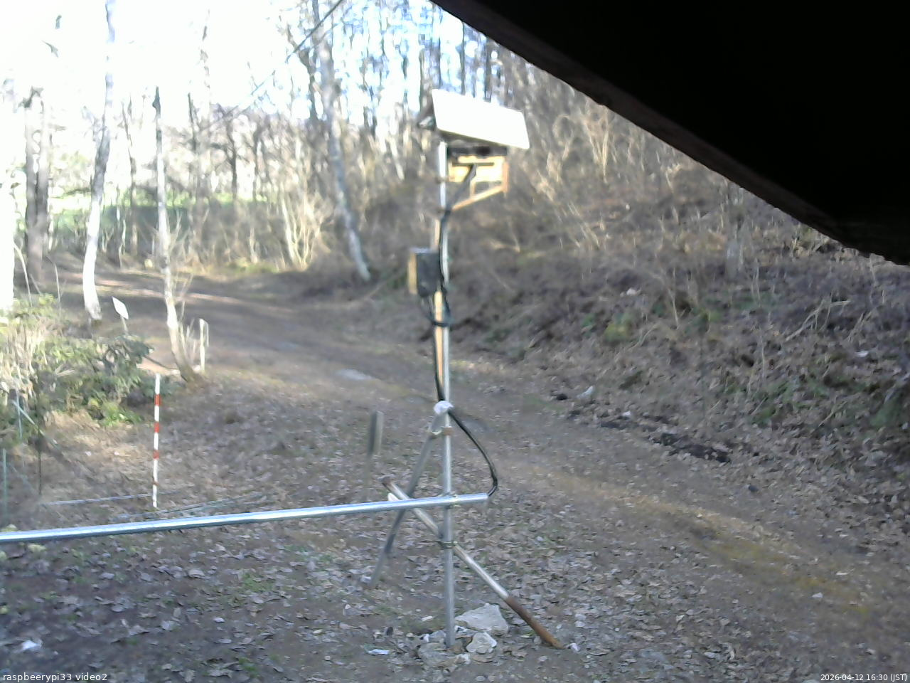 長野県菅平高原 ゆたか山荘 南側 2026/04/12 16:30